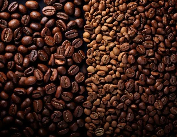 A comparison of Arabica and Robusta coffee beans
